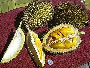 durian, foul smelling but smelly fruit