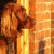 http://www.flickr.com/photos/jams_123/2232832542/ http://www.flickr.com/photos/jams_123/2232832542/