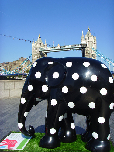 Photo by: http://www.flickr.com/photos/ajburgess/4633509490/