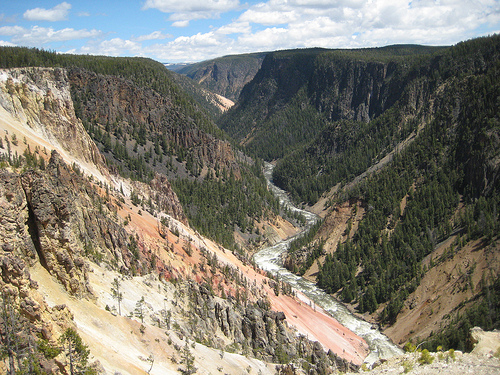 Grand Canyon of the Yellowstone National Park.