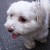 http://www.flickr.com/photos/28481088@N00/505606756/ http://www.flickr.com/photos/28481088@N00/505606756/