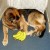 http://www.flickr.com/photos/wikidave/2852488757/ http://www.flickr.com/photos/wikidave/2852488757/