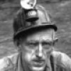 webminer profile image