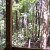 enjoy the wooded view enjoy the wooded view