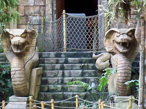 Indiana Jones Adventure at Disneyland.