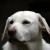 http://www.flickr.com/photos/mauritscassee/2544365858/ http://www.flickr.com/photos/mauritscassee/2544365858/
