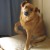 http://www.flickr.com/photos/backwards_dog/202423104/ http://www.flickr.com/photos/backwards_dog/202423104/