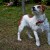 http://www.flickr.com/photos/66176388@N00/3814936845/ http://www.flickr.com/photos/66176388@N00/3814936845/