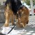 http://www.flickr.com/photos/toaireisdivine/3224336216/ http://www.flickr.com/photos/toaireisdivine/3224336216/