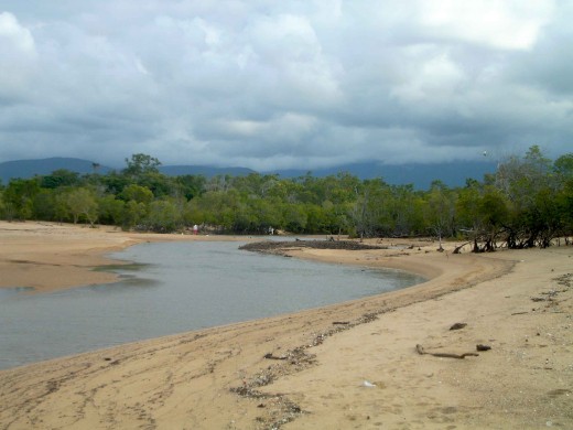 Here be Dragons - The creek at Rollingstone Caravan park