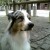 http://www.flickr.com/photos/rs/1145194022/ http://www.flickr.com/photos/rs/1145194022/