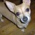 http://www.flickr.com/photos/14794551@N08/1517284053/ http://www.flickr.com/photos/14794551@N08/1517284053/