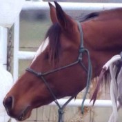 ridendurance profile image