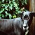 http://www.flickr.com/photos/daguerreo_type/4025318933/ http://www.flickr.com/photos/daguerreo_type/4025318933/