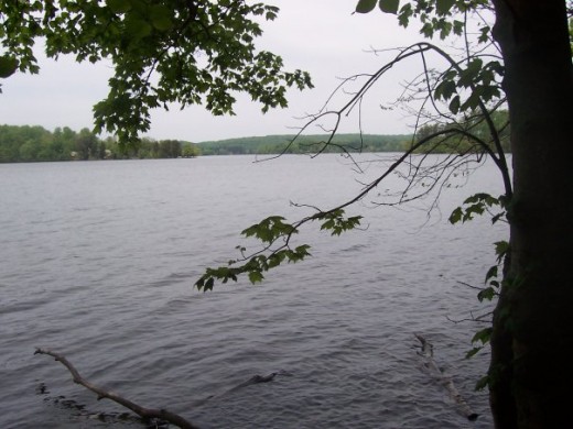 loch raven res, bottom of 2 mile hiking trail, towson, md