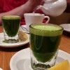 How Wheatgrass Can Change Your Life