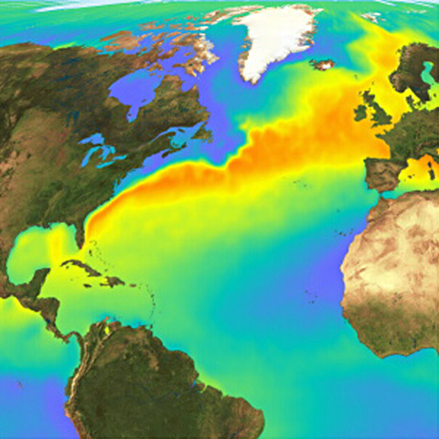 Satellite temperature image showing the Gulf Stream that carries water from the Gulf of Mexico to Europe.