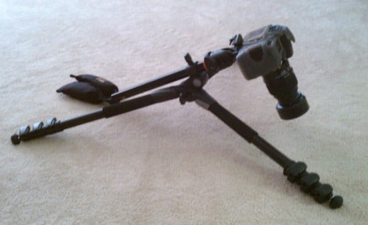 Position the tripod low to the ground for Macro Photography. 