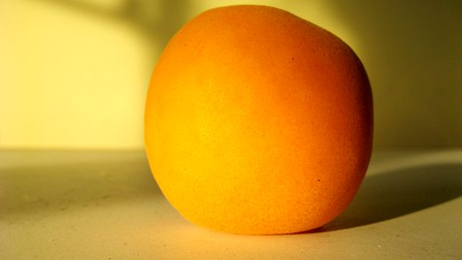 Apricots come in sunset shades: deep orange, yellow and coral pink / Photo by E. A. Wright