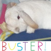 Busterbabe profile image