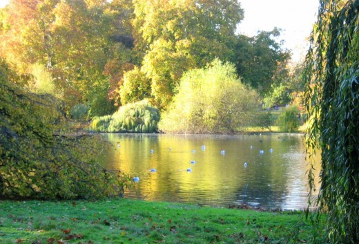 St. James Park, London:  Charles was allowed a final walk with his dog before his execution.