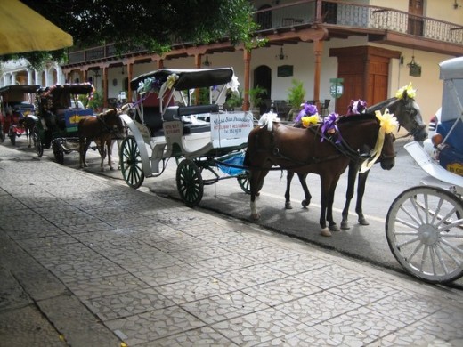 Horse Carriage Granada
