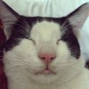 faria_21 profile image