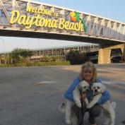 Joy Mitchell profile image