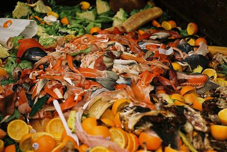 The US throws away 31 million tons of food a year! (Photo courtesy of treehugger.com)