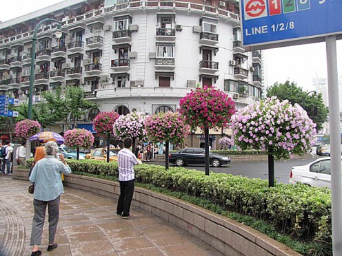 Pretty topiaries/flowers everywhere