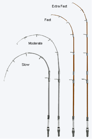 Saltwater fishing rods action types