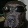 Dan Sm. profile image