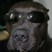 Dan Sm. profile image