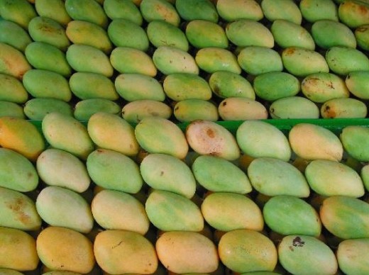 Delicious mangoes from Guimaras Island (courtesy of: http://cache.virtualtourist.com/987645-green_and_yellow_guimaras_mangoes-Guimaras_Island.jpg)