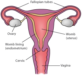 Pelvic inflammatory disease and endometritis region chart