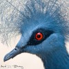 Ariel D. Bravy profile image