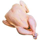 You should always buy fresh chickens by the ''sell-by'' date on the package. Once you get the chicken home, cook it within two days for the best flavor. When you open the package, you may notice an off order, thats because meat is chemically active,a