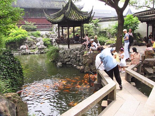 Kois at Yuyuan Garden