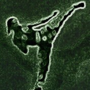 jaynotts profile image