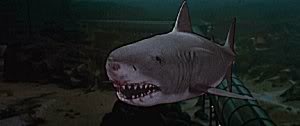 JAWS 3