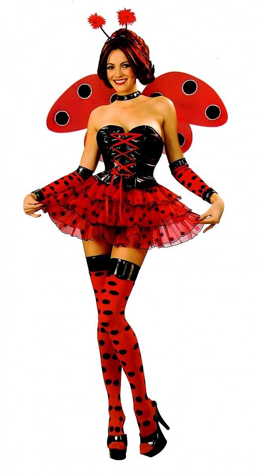 Ladybird Costume