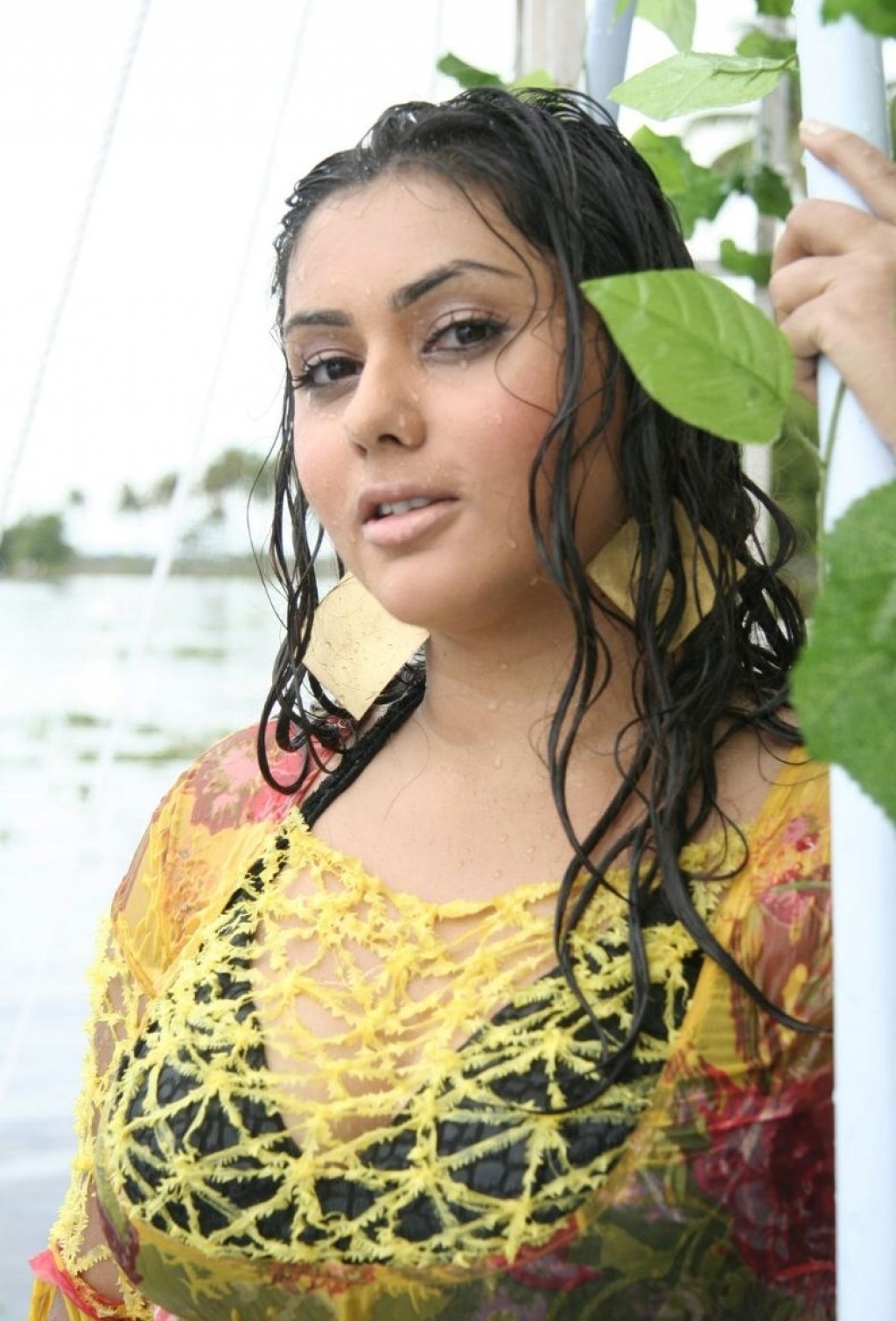 Namitha Is Hot South Indian Actress Hubpages