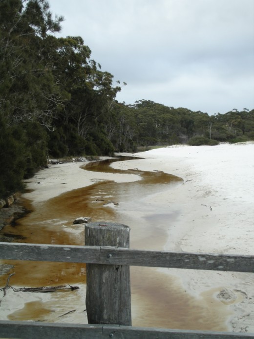 Creek on the beach at Green Patch, Bouderee N,P. The water is not dirty, it is naturally stained by tea tree and button grass.