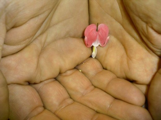 What Can You Do For The Caregiver?