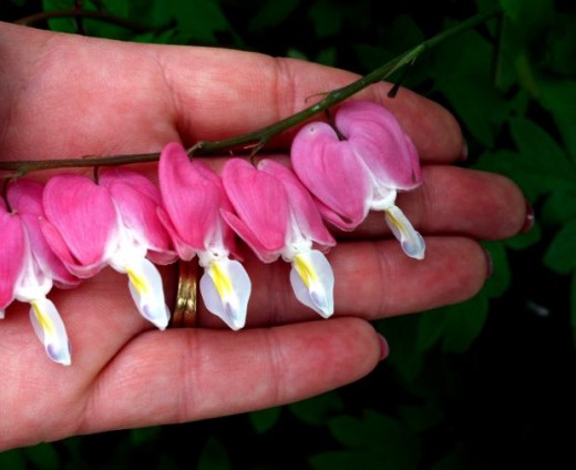 Keep Your Promises To The Caregiver