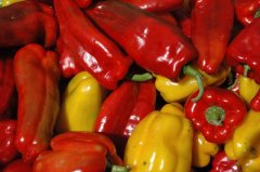 Hungarian Sheppard Peppers