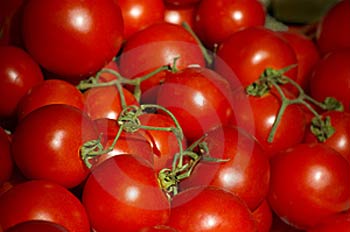 Few things beat a fresh and ripe tomato as either a main ingredient or a garnish to a salad.