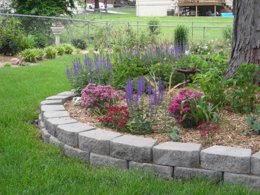THE TREE GARDEN: WEST SIDE.