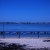 Bay walk Bay walk