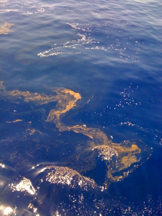 The second vial of Revelations is the oceans becoming like the blood of a dead man and the sea life dying. The BP oil spill in the Gulf of Mexico fulfills this very closely. Coincidence or cycle?